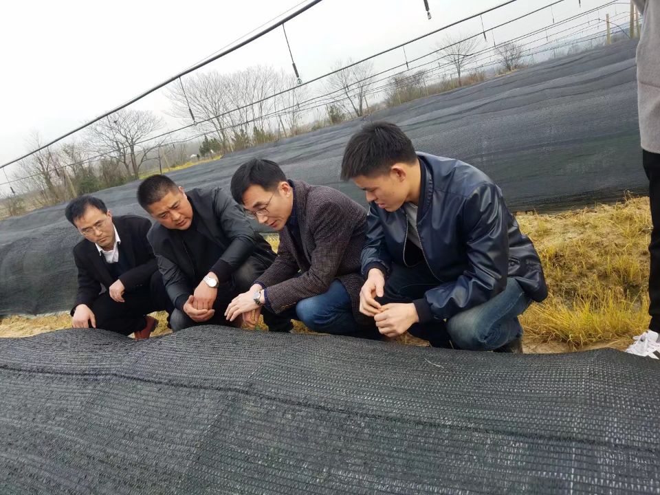 安農(nóng)大教授韋朝領(lǐng)、巢湖市科技局戴局長(zhǎng)親臨年晟農(nóng)業(yè)指導(dǎo)